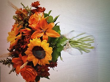 Fields of Europe for fall