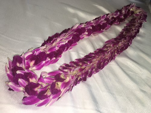 Fancy Purple lei
