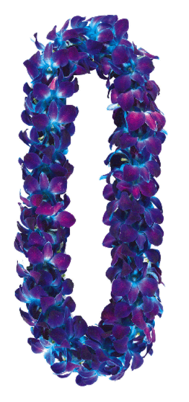 Double Blue Orchid Lei / with or without Butterfly Bills