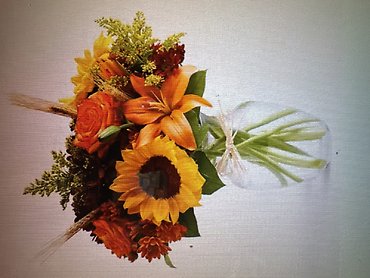 Fields of Europe for fall