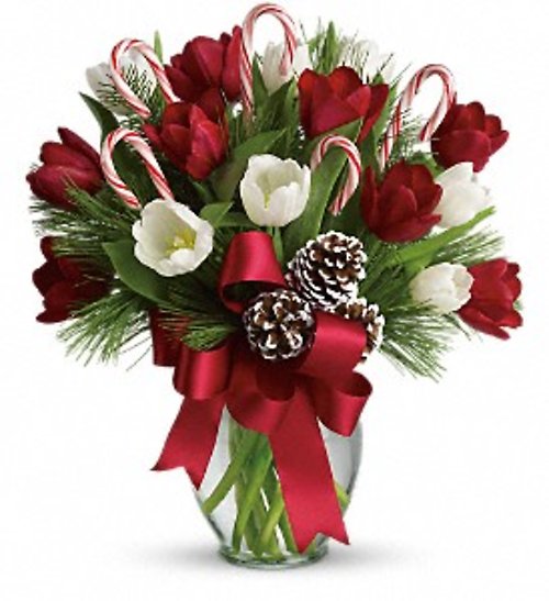 BY GOLLY IT\'S JOLLY