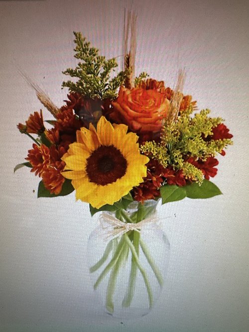 Fields of Europe for fall