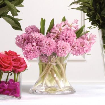 Pink Hyacinth Vase Arrangement