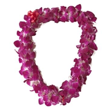 Double Purple Orchid Lei. Fresh Available!
