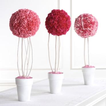 Carnation Topiary