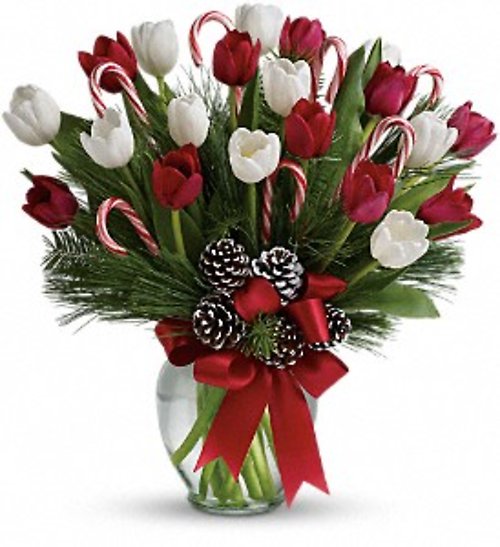 BY GOLLY IT\'S JOLLY