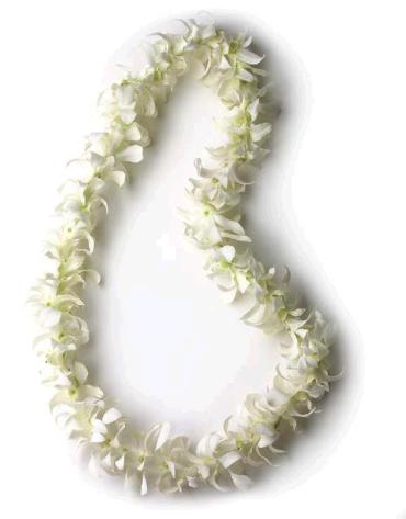 Single White Orchid Lei.